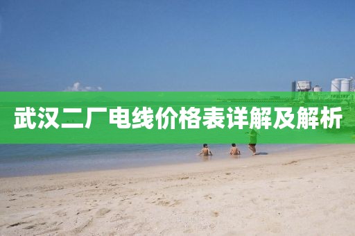 武汉二厂电线价格表详解及解析