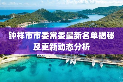 钟祥市市委常委最新名单揭秘及更新动态分析