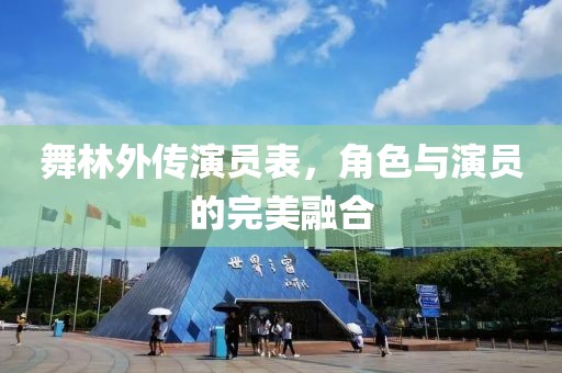 舞林外传演员表，角色与演员的完美融合