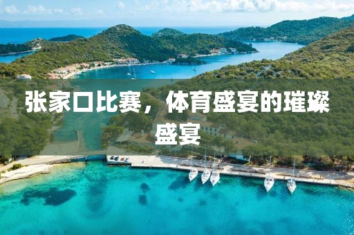 张家口比赛，体育盛宴的璀璨盛宴
