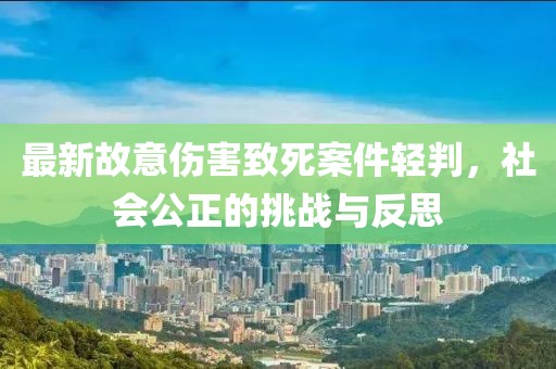 最新故意伤害致死案件轻判，社会公正的挑战与反思