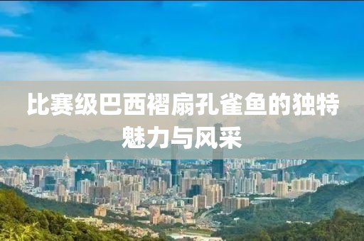 比赛级巴西褶扇孔雀鱼的独特魅力与风采