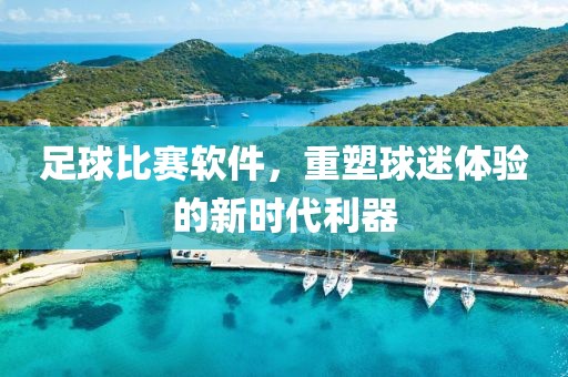 足球比赛软件，重塑球迷体验的新时代利器