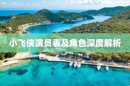 小飞侠演员表及角色深度解析