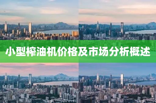 小型榨油机价格及市场分析概述