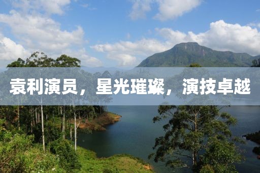 袁利演员，星光璀璨，演技卓越