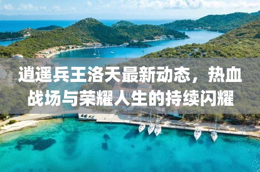 逍遥兵王洛天最新动态，热血战场与荣耀人生的持续闪耀