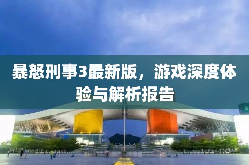 暴怒刑事3最新版，游戏深度体验与解析报告
