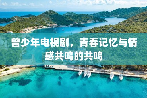 曾少年电视剧，青春记忆与情感共鸣的共鸣