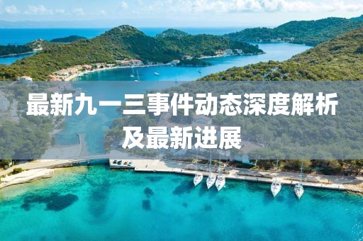 最新九一三事件动态深度解析及最新进展