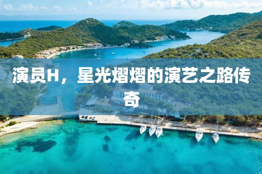 演员H，星光熠熠的演艺之路传奇