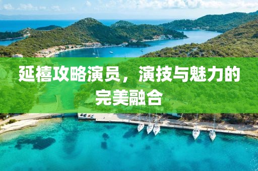 延禧攻略演员，演技与魅力的完美融合