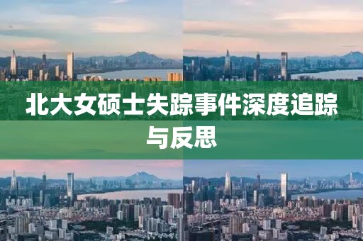 北大女硕士失踪事件深度追踪与反思