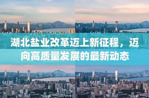 湖北盐业改革迈上新征程，迈向高质量发展的最新动态