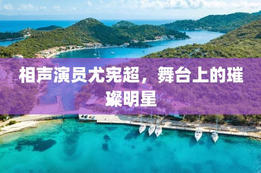 相声演员尤宪超，舞台上的璀璨明星