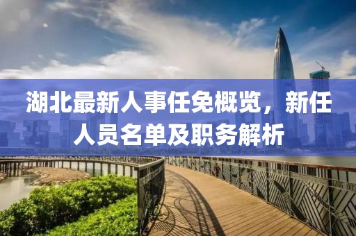 湖北最新人事任免概览，新任人员名单及职务解析