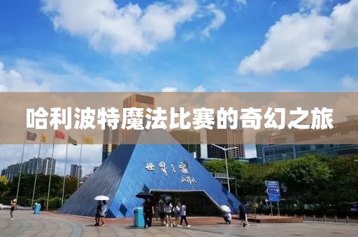 哈利波特魔法比赛的奇幻之旅