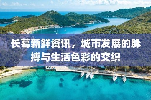 长葛新鲜资讯，城市发展的脉搏与生活色彩的交织