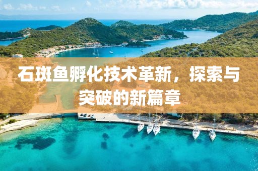 石斑鱼孵化技术革新，探索与突破的新篇章