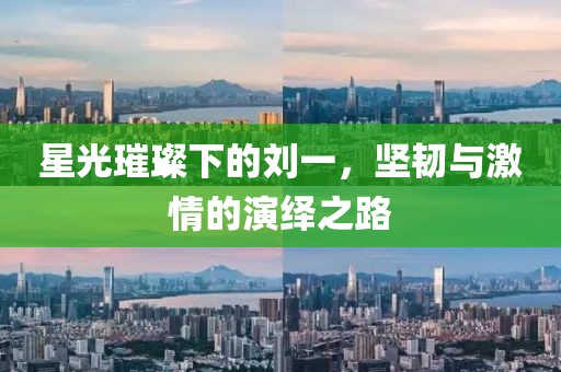星光璀璨下的刘一，坚韧与激情的演绎之路