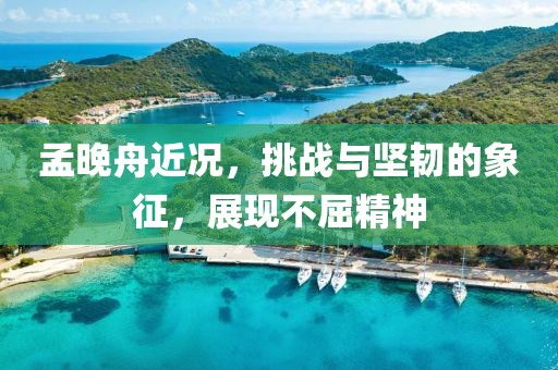 孟晚舟近况，挑战与坚韧的象征，展现不屈精神