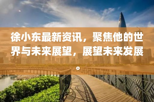 徐小东最新资讯，聚焦他的世界与未来展望，展望未来发展。