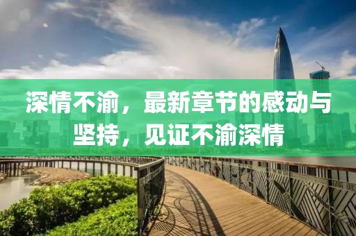 深情不渝，最新章节的感动与坚持，见证不渝深情