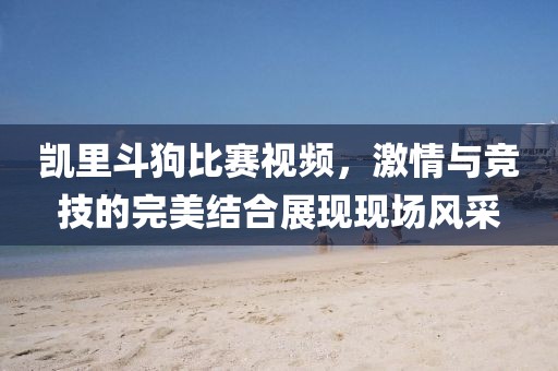 凯里斗狗比赛视频，激情与竞技的完美结合展现现场风采