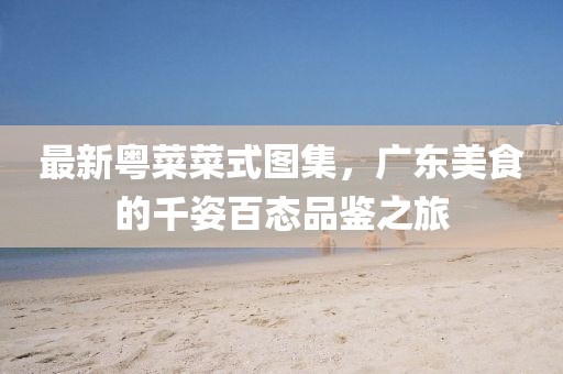 最新粤菜菜式图集，广东美食的千姿百态品鉴之旅