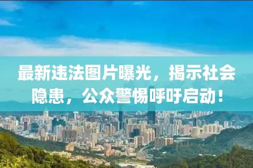 最新违法图片曝光，揭示社会隐患，公众警惕呼吁启动！