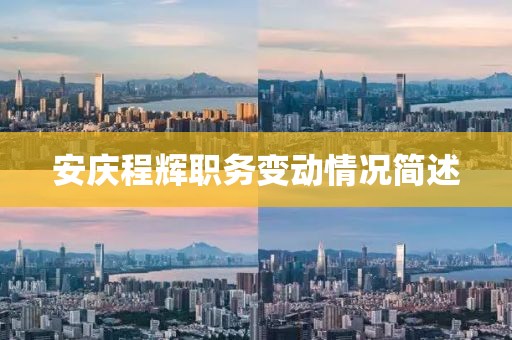 安庆程辉职务变动情况简述