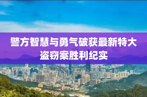 警方智慧与勇气破获最新特大盗窃案胜利纪实