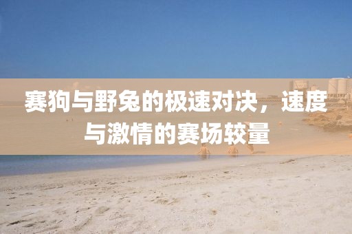 赛狗与野兔的极速对决，速度与激情的赛场较量