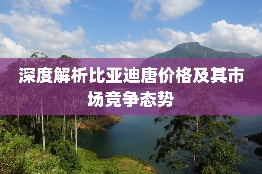 深度解析比亚迪唐价格及其市场竞争态势
