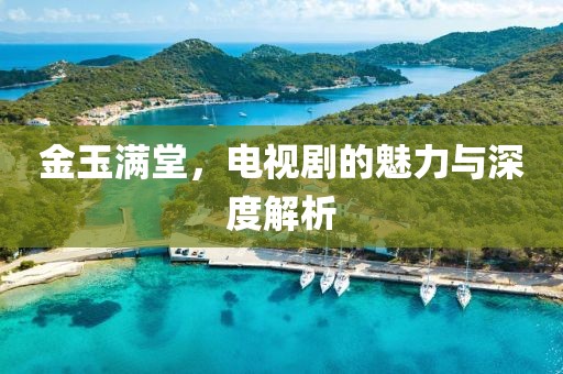 金玉满堂，电视剧的魅力与深度解析