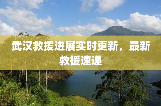 武汉救援进展实时更新，最新救援速递