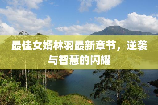 最佳女婿林羽最新章节，逆袭与智慧的闪耀