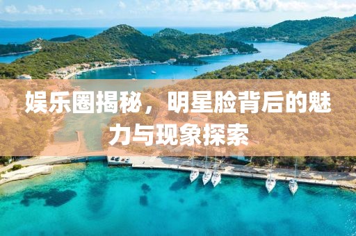 娱乐圈揭秘，明星脸背后的魅力与现象探索