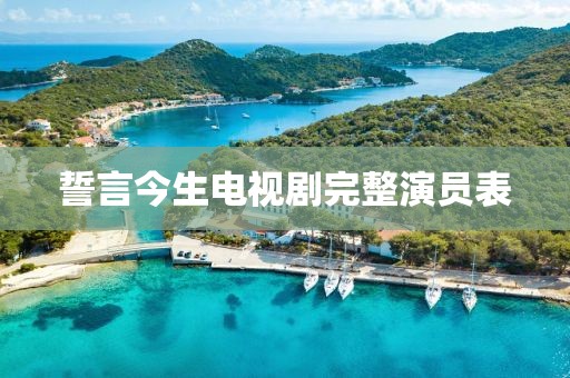 誓言今生电视剧完整演员表
