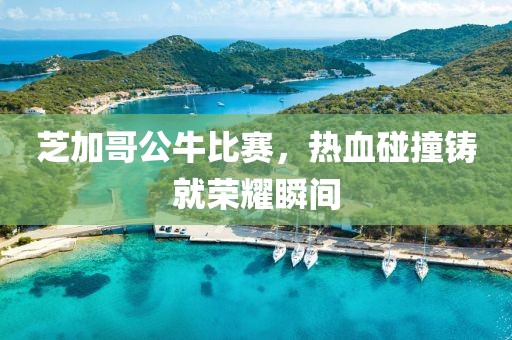 芝加哥公牛比赛，热血碰撞铸就荣耀瞬间