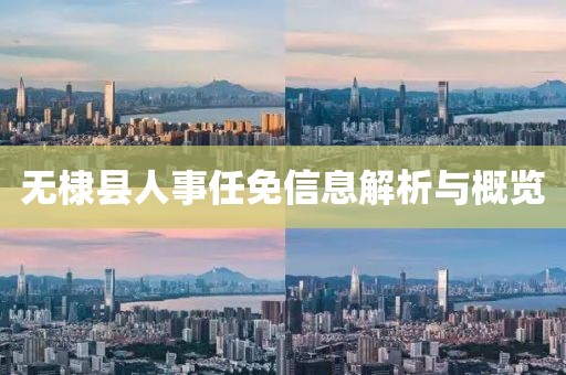 无棣县人事任免信息解析与概览