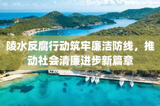 陵水反腐行动筑牢廉洁防线，推动社会清廉进步新篇章