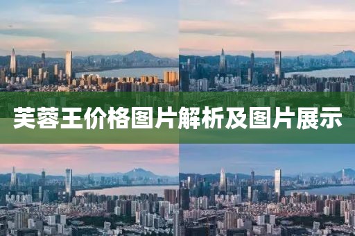 芙蓉王价格图片解析及图片展示