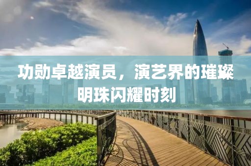 功勋卓越演员，演艺界的璀璨明珠闪耀时刻