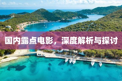 国内露点电影，深度解析与探讨