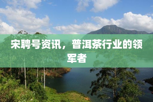 宋聘号资讯，普洱茶行业的领军者