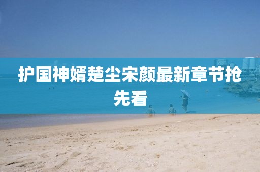 护国神婿楚尘宋颜最新章节抢先看
