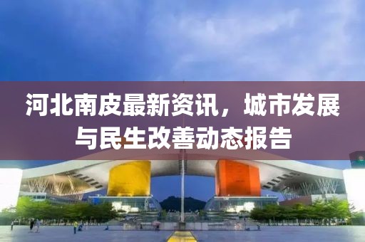 河北南皮最新资讯，城市发展与民生改善动态报告