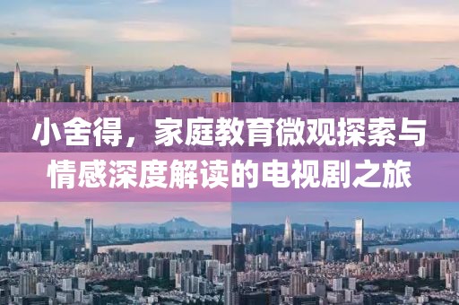 小舍得，家庭教育微观探索与情感深度解读的电视剧之旅