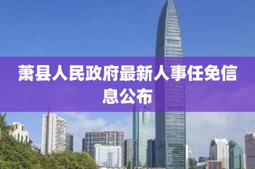 萧县人民政府最新人事任免信息公布